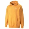 Sweatshirt Casual Hoodie Puma Classics TR