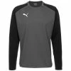 Sweatshirt Puma Teamliga